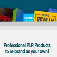 Professional PLR Products to re-brand as your own